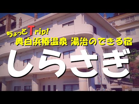 奥白浜椿温泉を知ってますか！？湯治ができる宿 しらさぎ 行って来た！