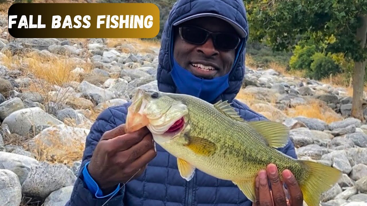 This COMPLETELY Changes HOW I FISH 🤯 (KastKing Zephyr BFS Review