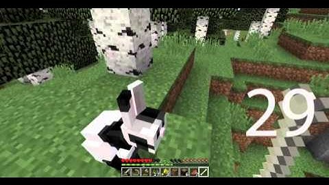 Search for the Killer Bunny