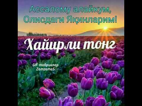 янги кун муборак