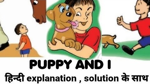 PUPPY AND I  || NCERT English for class 3rd , Hindi  explanation with solution ||