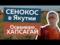 Сенокос в Якутии | Осваиваю якутскую борьбу Хапсагай