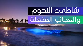 منوعات غرائب وعجائب حول العالم  - المالديف شاطئ النجوم والعجائب المذهلة