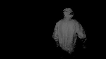 N BUG - Into the Woods (Official Video)