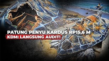 Dedi Mulyadi Minta Audit Patung Penyu Diduga dari Kardus Senilai Rp15,6 Miliar