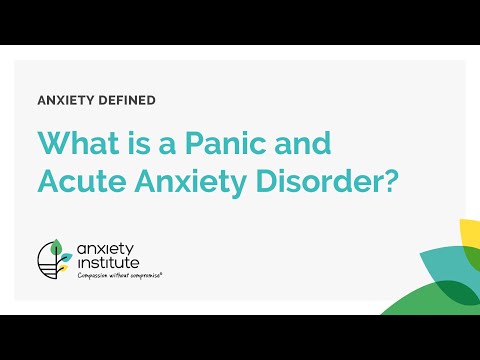 What is a Panic and Acute Anxiety disorder, and how is it treated