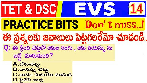 TS TET TRT MODEL QUESTIONS | TS DSC PRACTICE BITS | TET TRT STUDY MATERIAL  EVS | PART - 14