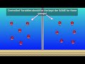 Mastering Variables in Scientific Experiments Through Squid Lifespan Analysis