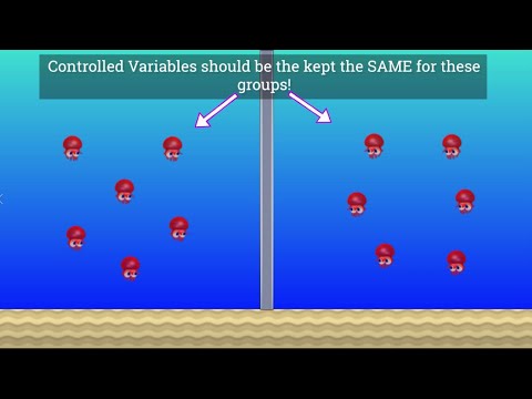 Video: Hvad er de tre variable i et videnskabeligt eksperiment?