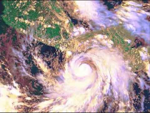 Guerrero del Arco Iris RATA BLANCA