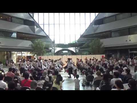 香川大学よさこい連“風華” 第18回こいや祭り ツイン21アトリウム会場
