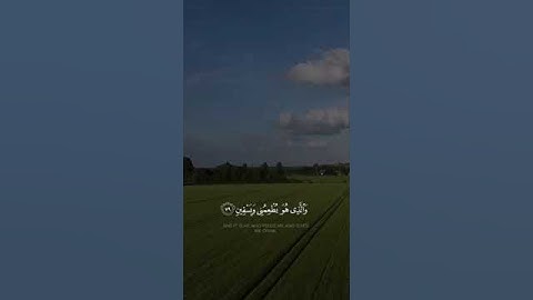 الشيخ عبد الله الموسى{سورة الشعراء}
