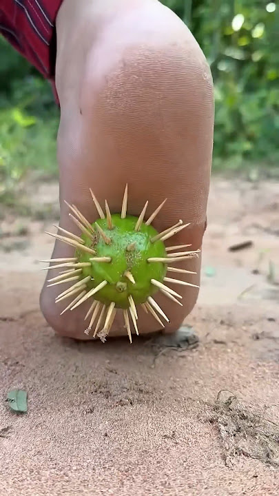 🌵🌵🌵🤣😭😭👟👟😍🥰Introducing the 'VitaWear SmartBand,' a next-generation wearable gadget🙏