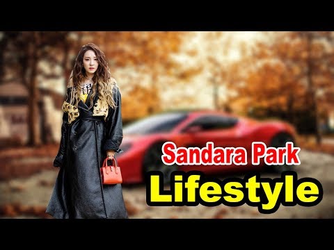 فيديو: Sandara Park Net Worth: ويكي ، متزوج ، أسرة ، زفاف ، راتب ، أشقاء