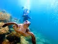 Mergulho em Arraial do Cabo / RJ (Shot On DJI Mavic Air & GoPro Hero7 Black)