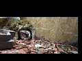 “Ball Python vs BIG Mouse 😱 You Won’t Believe How Fast It Happens! 🐍”