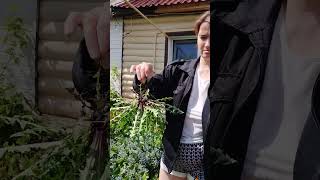 Как снять нагрузку со спины во время огородных работ 🌱 #огород