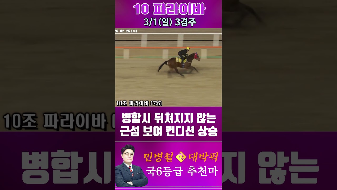 [서울 경마] 민병철 대박픽 2026년 3월 1일 일요 3R 추천마2 #한국마사회 #horse #경마 #automobile #하이라이트 #riding #sports #게임