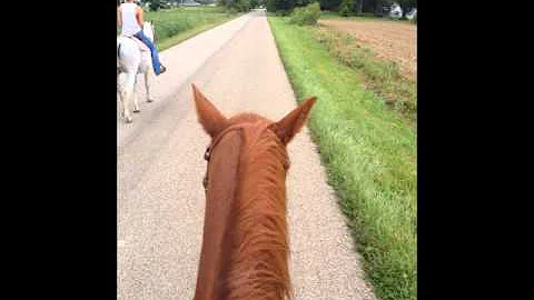 myownpony