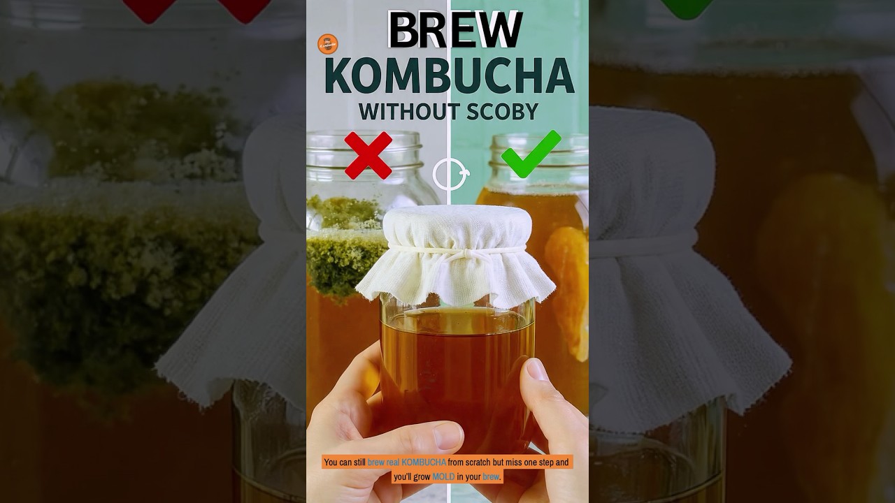 SCOBY-Free KOMBUCHA That Actually Tastes Good #kombucha #recipe #diy