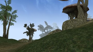 Four Types of Flowers Quest Walkthrough - Elder Scrolls Morrowind