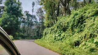 belur to horanadu road beautiful ride #beluru #sringeri #hornadu #roadtrip #waterfall #chikmagalur