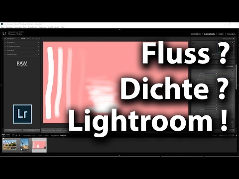 Fluss und Dichte
