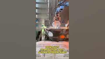 From Pallet To Production：Fully Automated Feeding Robot😎 #depalletizing #palletizer #palletizing
