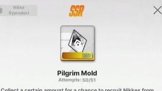 Pilgrim Molds Experience...