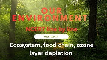 Our Environment FULL CHAPTER | Class 10 Science (CBSE)| One Shot Lecture | Ecosystem, Food Chain