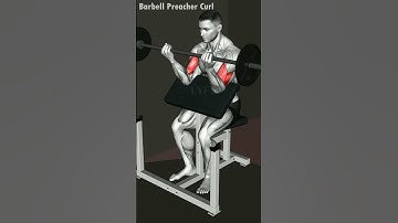 The Barbell Preacher Curl is a great Upper Arm exercise  - Save and try your next workout