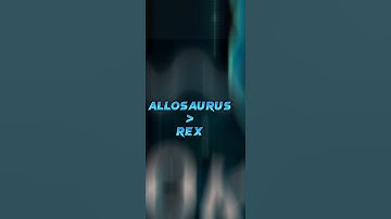 Raad Bros Vs Plokute