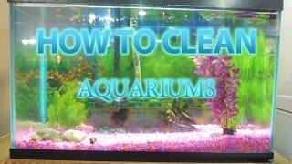 How to Clean Aquariums