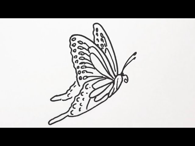 簡単 チョウの描き方 イラスト お絵描き Easy How To Draw A Butterfly Illustration Drawing Youtube