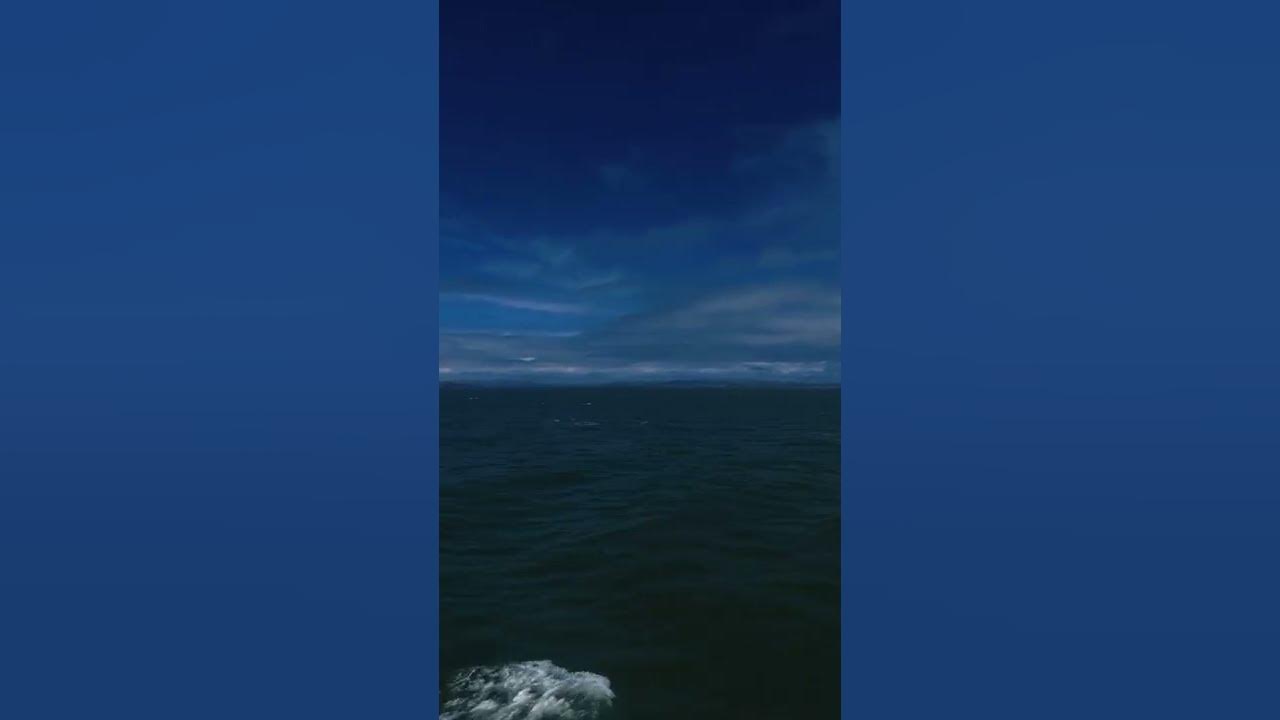 Mi è Dolce Naufragar In Questo Mare E il naufragar mi è dolce in questo mare 🌊.... - YouTube