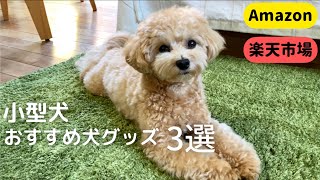 【ネットで買える】買って良かった犬グッズ！おすすめ3選！