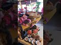 For sushi lover&#39;s #vlog #new #sushilover #sushitime #seefood