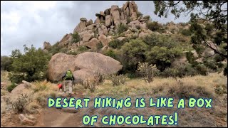 Hiking in the Desert  Sometimes is like a box of Chocolates!  Sandia  foothills hike, New Mexico