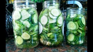 Garlic Dill Refrigerator Pickles- Super Simple Recipe