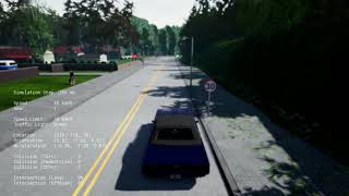 Data Collection using Carla Autopilot