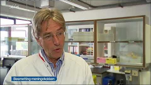 VRT journaal - prof. Herman Goossens over Meningokokken W