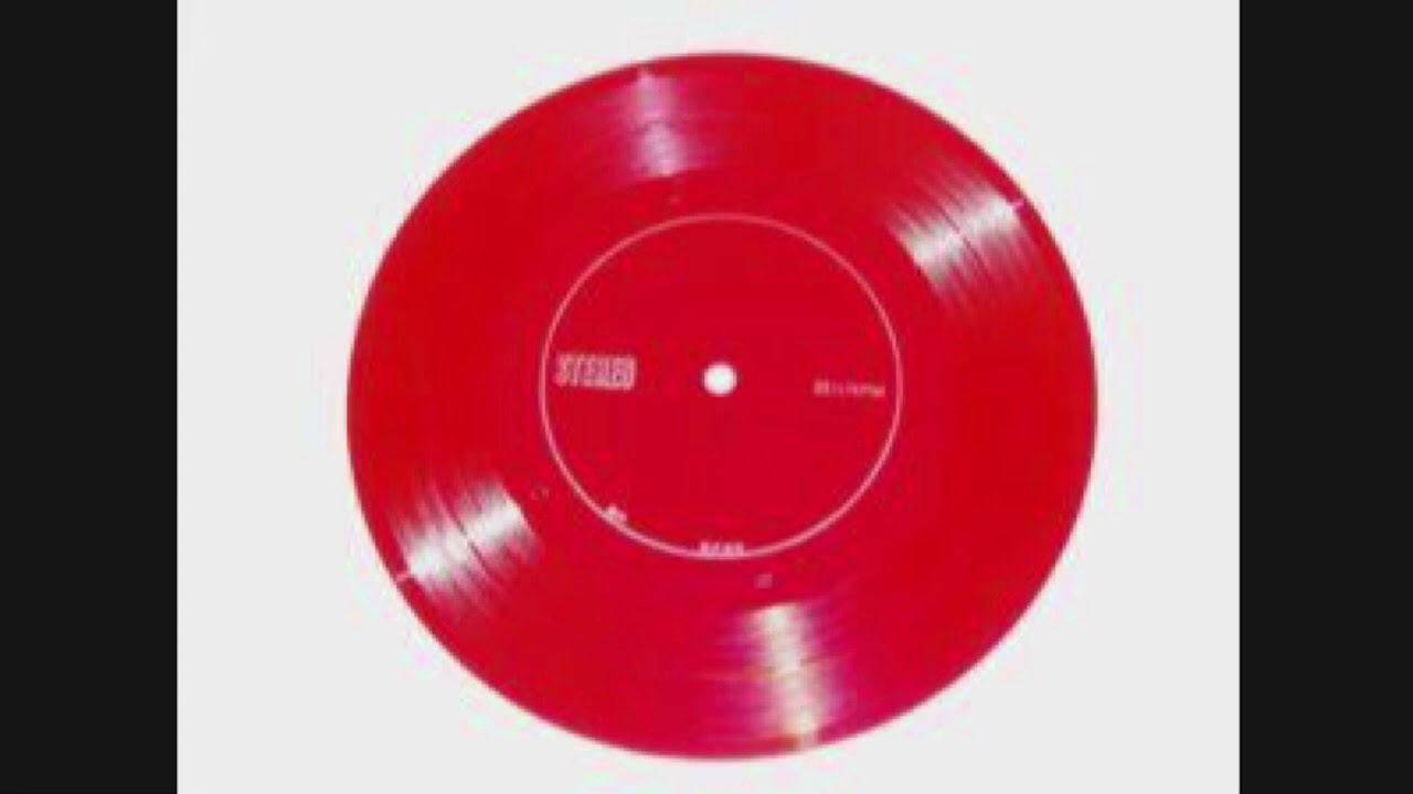 甲本ヒロトのアレコード②】信濃町立保育所保母会『戸籍はちゃんと知っ