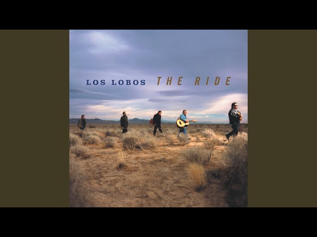 Los Lobos - Rita