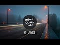 Ben bhmer  sultan shepard  yotto  camelphat  kidnap  gorgon city  ricardo melodic house mix