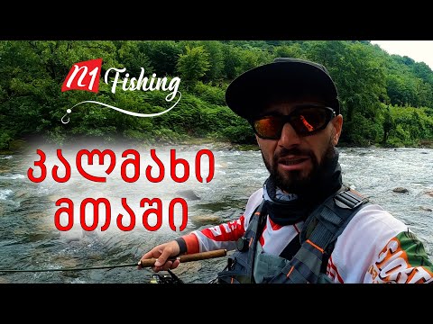 მთის კალმახი ულამაზეს ბუნებაში სპინინგით