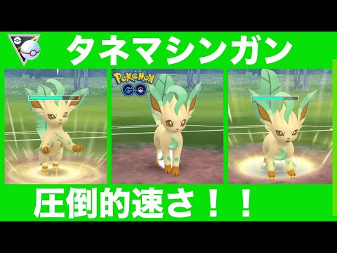 ポケモンgo リーフィアの入手方法 能力 技まとめ 攻略大百科 ポケモンgo リーフィアの入手方法 能力 技まとめ 攻略大百科