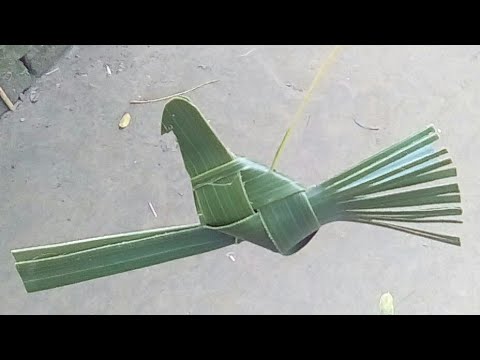 How to make a bird from palm leaf - YouTube
