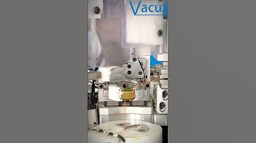 Two Stations Vacuz Automatic Common Mode Toroidal Inductor Core Crochet Hook Winding Machine Price