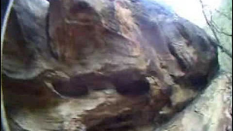 rock climbing new river gorge 4 sheets route part 2