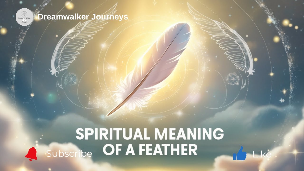 Message Feather Spiritual Meaning of a Feather | Messages, Guidance & Divine Signs ...